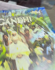 Gandhi Vinyl 1/1